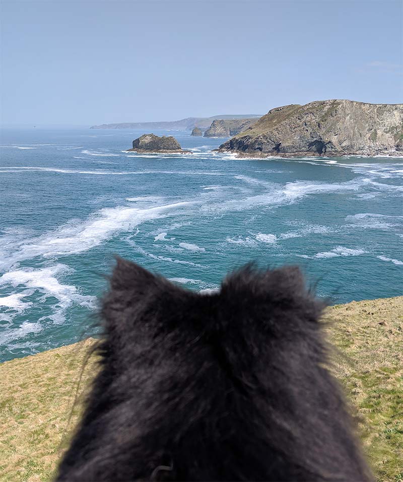 Henry looking out to see at Tintagel