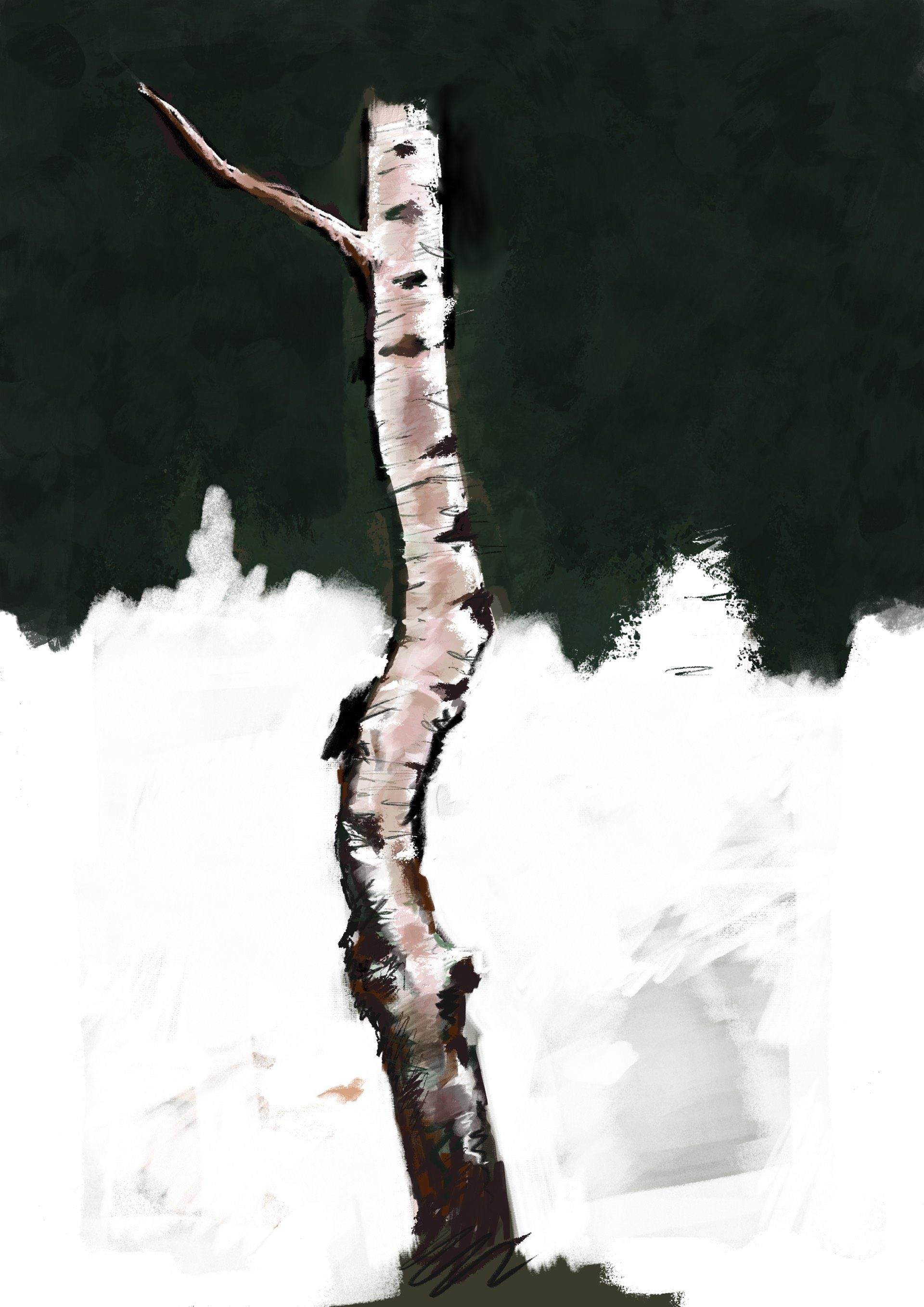 Drawing of a silver birch tree trunk